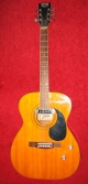 Fame Guitar