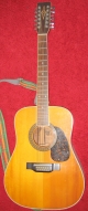 Alvares Yari Guitar 12 String