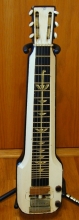Harmony Lap Steel
