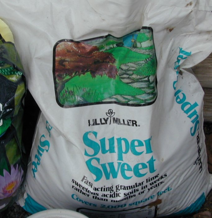 Click here to see more about Super Sweet