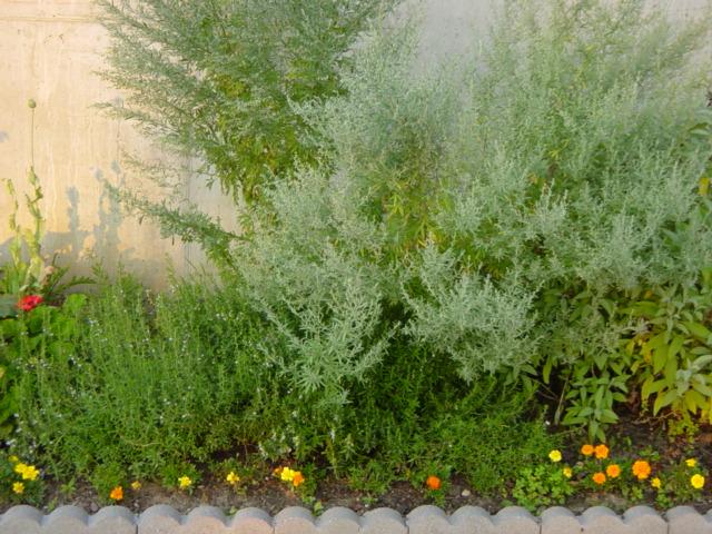 Smeltmelt Grille - Chefs Garden